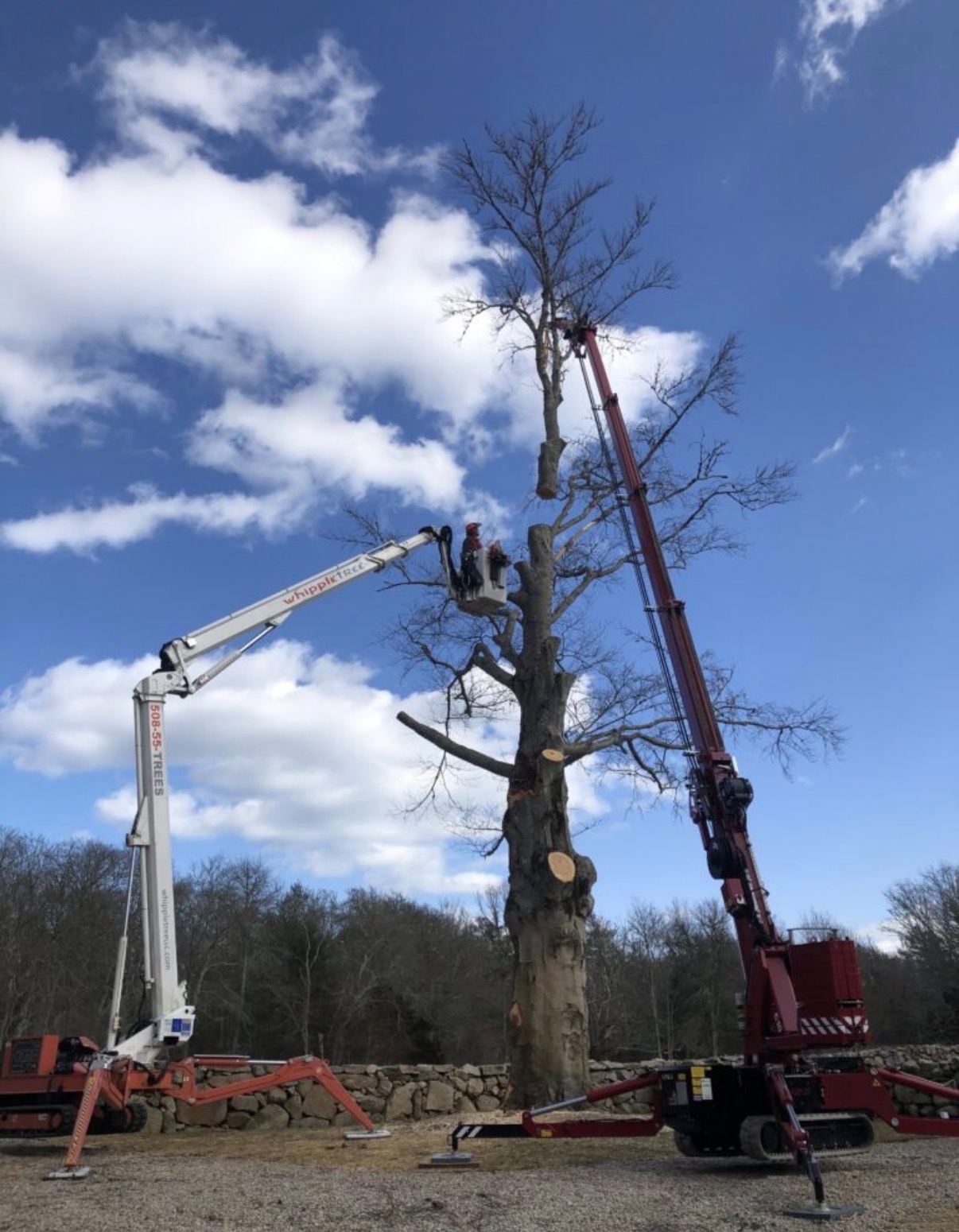 Hoeflon Compact Crane